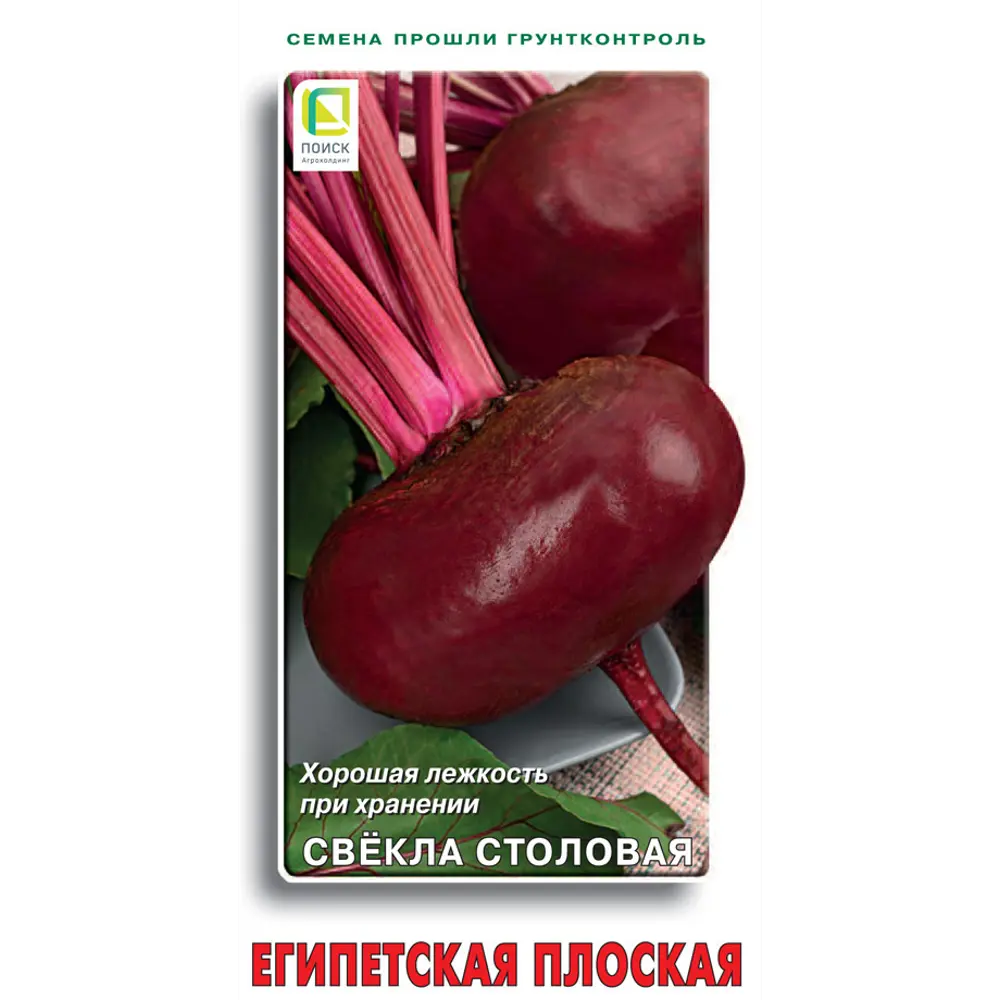 Семена овощей Поиск свекла столовая Египетская плоская 89346718 STLM-2000308 