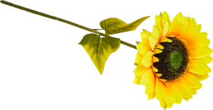 86762942 Искусственный цветок Подсолнух 20x47 см ПВХ цвет разноцветный STLM-0071429 Santreyd