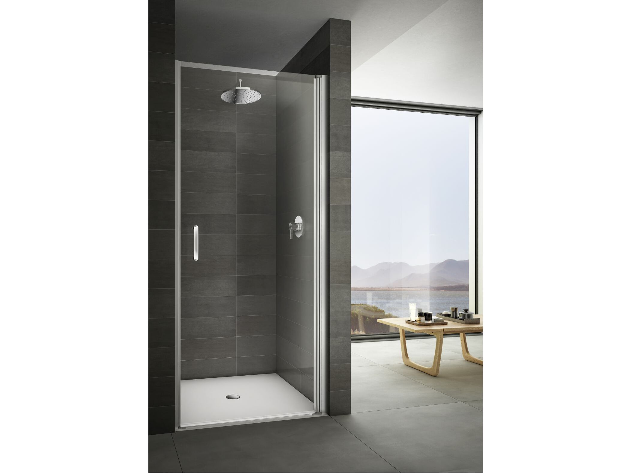 Стеклянная ниша душевая кабина с распашной дверью Provex Industrie ARCH-00132698 - Вид №1