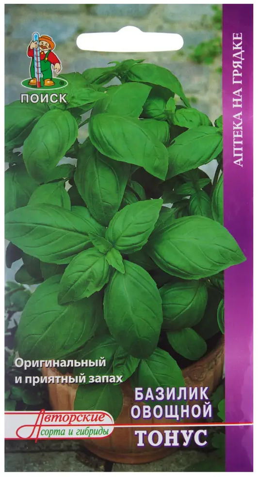 Базилик «Тонус» от ПОИСК — ароматная зелень для кухни 18355854