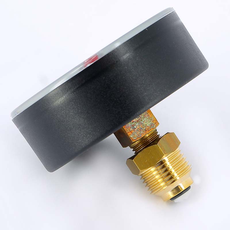 Термоманометр аксиальный F+R818 1/2" 10 бар 120° WATTS 10009465 - Вид №2