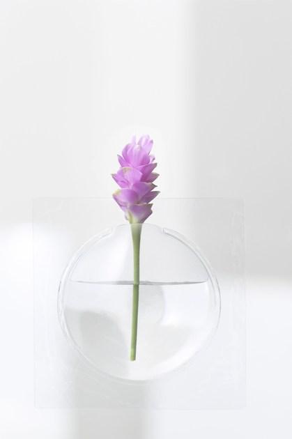 Plus D Настенная ваза из пвх sun-id-1434175 - Вид №14