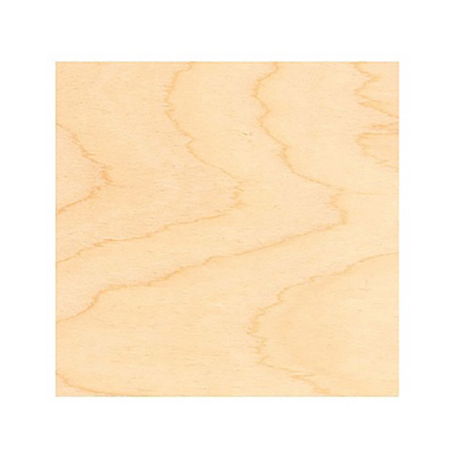 00-00000014 Планшет фанера 20 х 30 см . Туюкан 