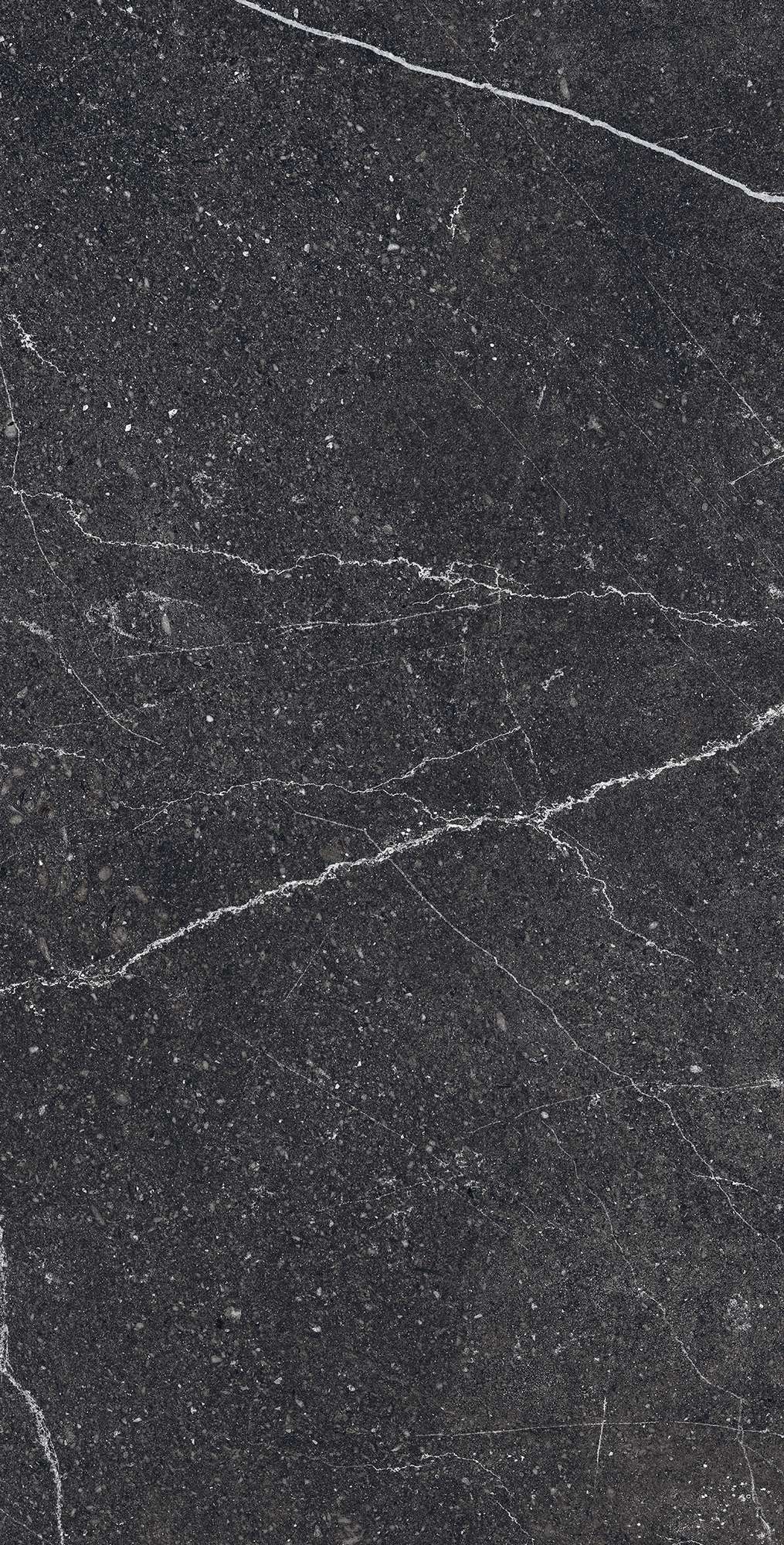 EQUISTONE CHARCOL ARCADIA CERAMICA RG6003-A - Вид №3