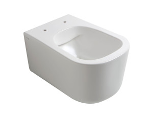 Туалет висит в витрине без бриды