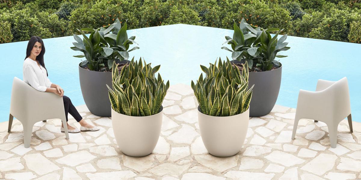 096247 Кашпо 60 Vondom Easy bowl  - Вид №2