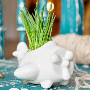 Набор для выращивания eco "Самолет" ЭКОЧЕЛОВЕКИ  254583 Белый