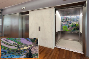 FSRT385 Зум-стекло Vivispectra с прослойкой рисового поля  Forms-surfaces