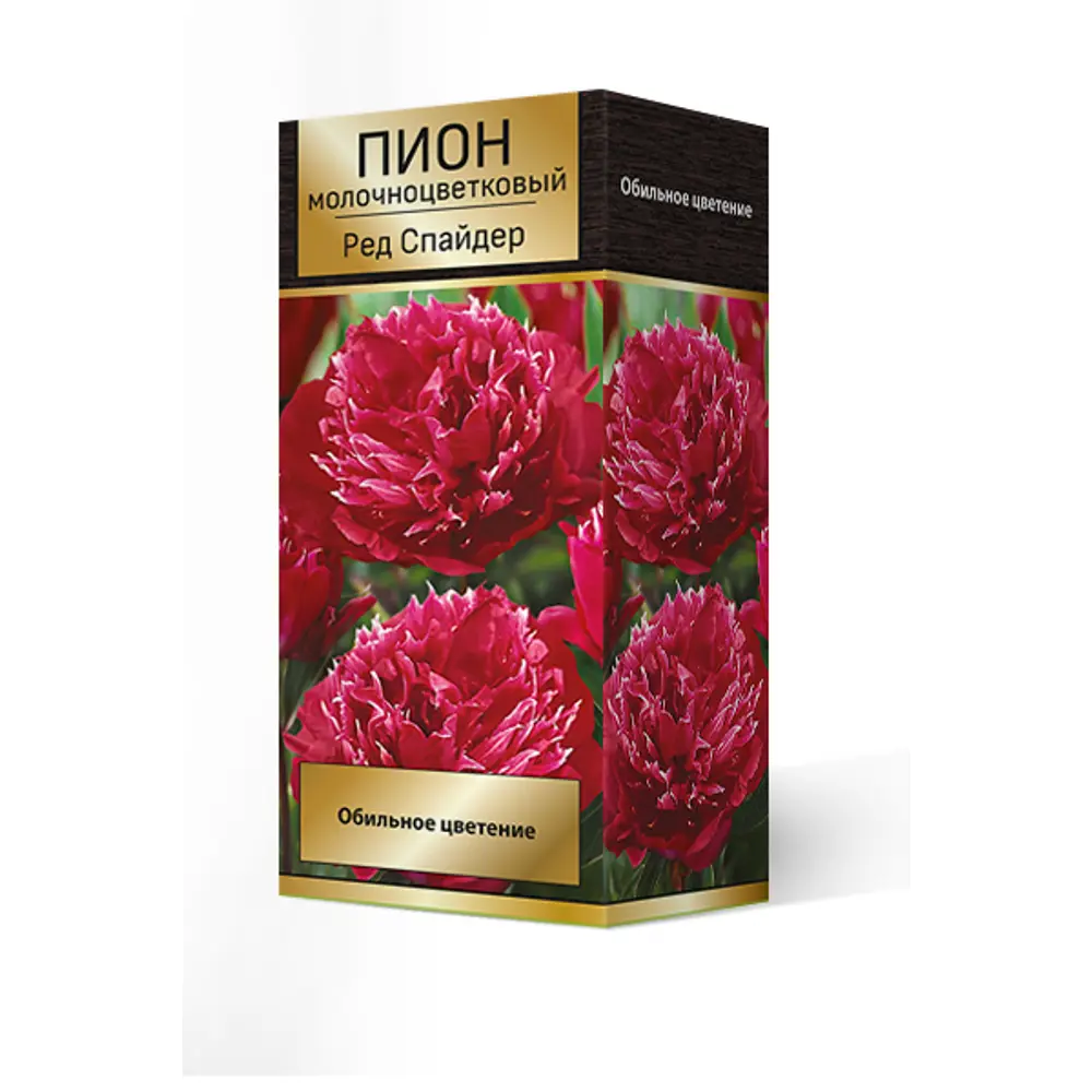 Пион молочноцветковый травянистый Ред Спайдер, 88659246 STLM-2102230 ПОИСК 