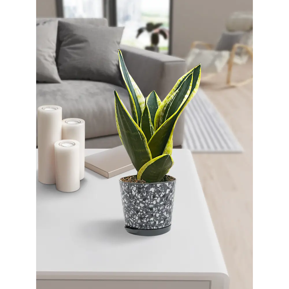 Горшок для цветов Stone Flower ø20 h17.8 см v4л пластик черный Santreyd STLM-2097246 - Вид №3
