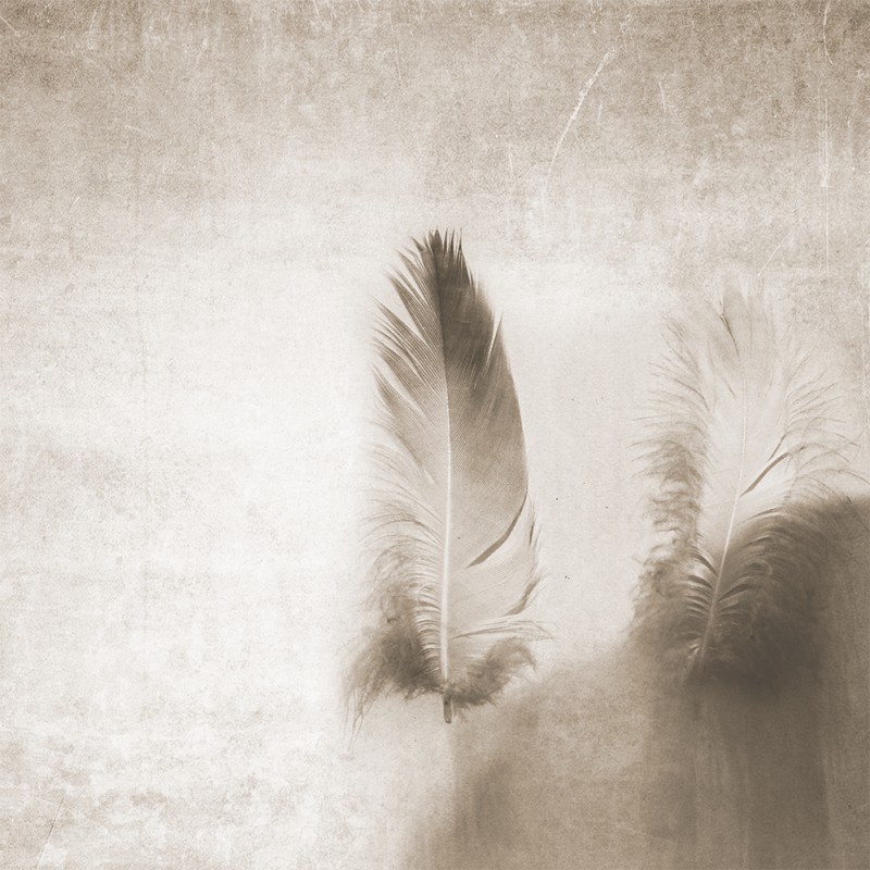 WP02019A Обои декоративные Adriani e Rossi 