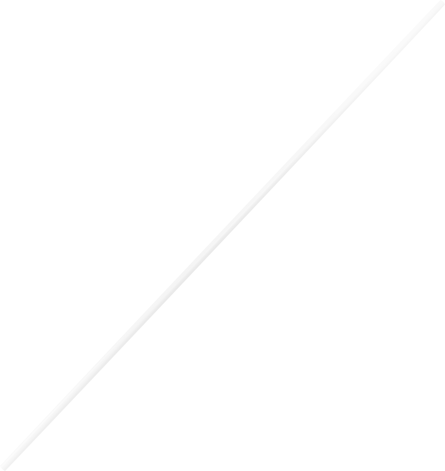 INSPIRE Гладкая штанга для штор 160 см с быстрым креплением 82550687 STLM-0029657 - Вид №2