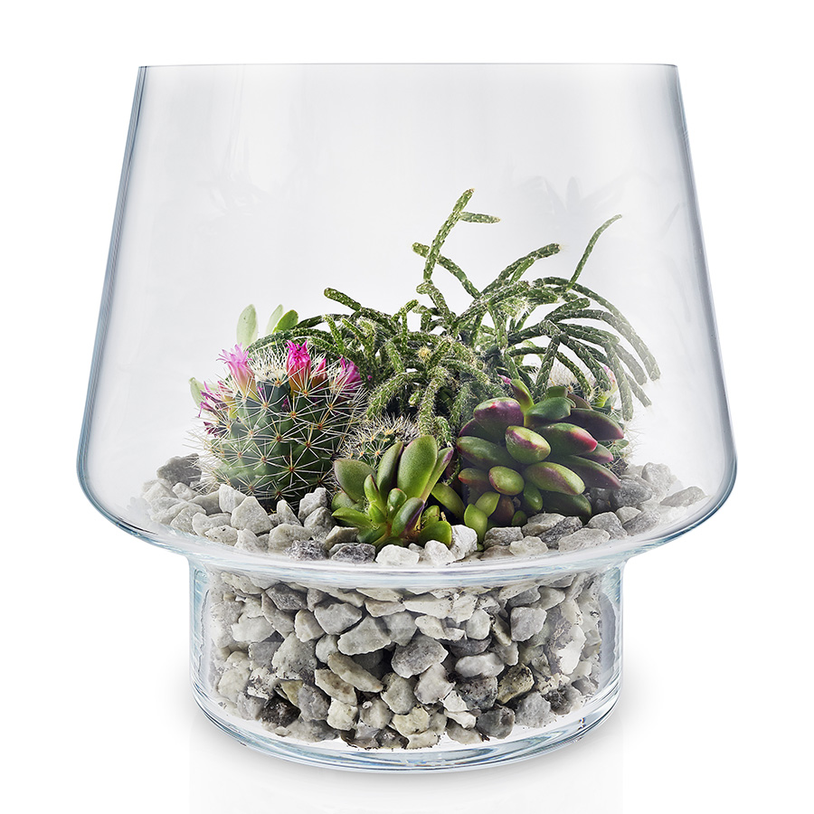 568188 Ваза для суккулентов, D21 см Eva Solo  - Вид №5