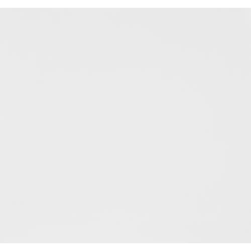 Santreyd Дверь Лион для модульного шкафа 60 см белая матовая 88967184 STLM-1360156