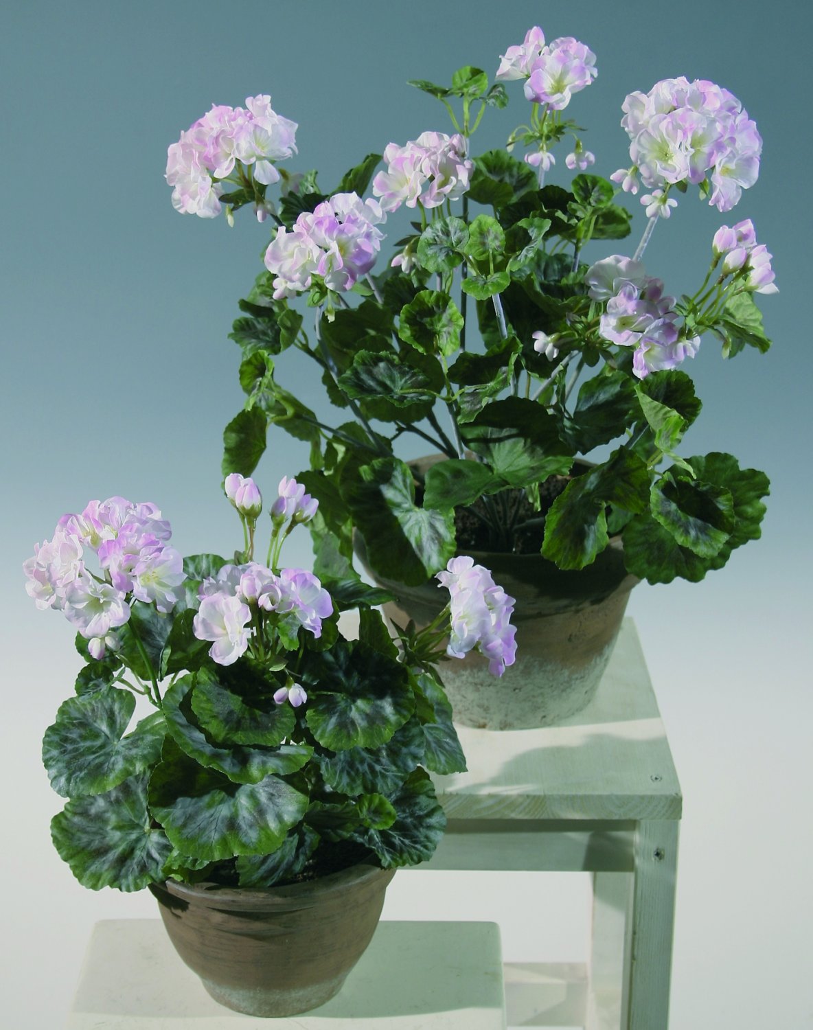 3193 777 a2 Искусственный куст герани, 7 цветочных головок, 50 см, белый H-andreas  - Вид №1