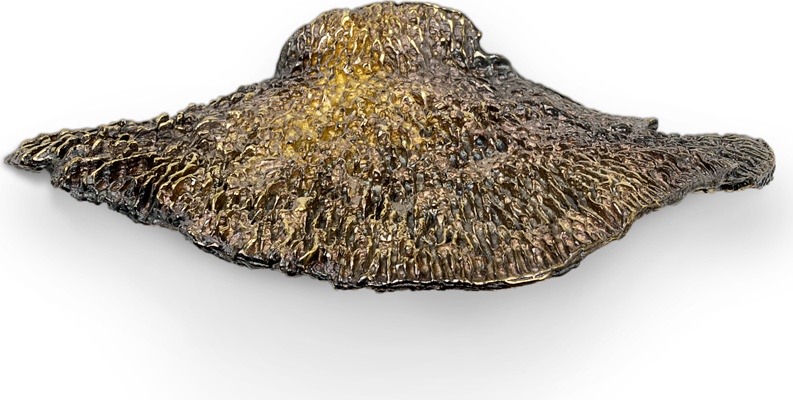 EA1032 Fungi PULLCAST Earth Collection  - Вид №1