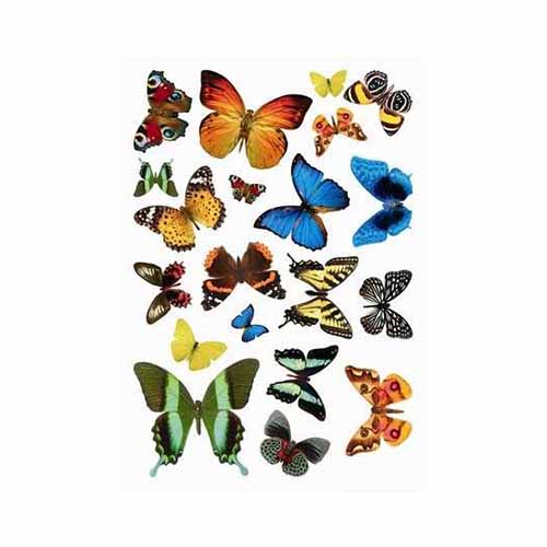 17thermo Термопластик для моделирования с печатью "Бабочки" Freedecor 