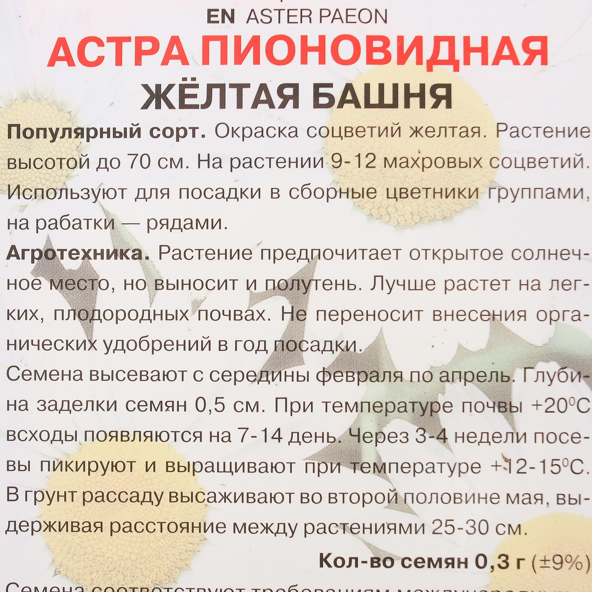 17229493 Астра пионовидная «Жёлтая башня» Santreyd  - Вид №2