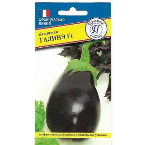 Семена Баклажан «Галинэ» F1