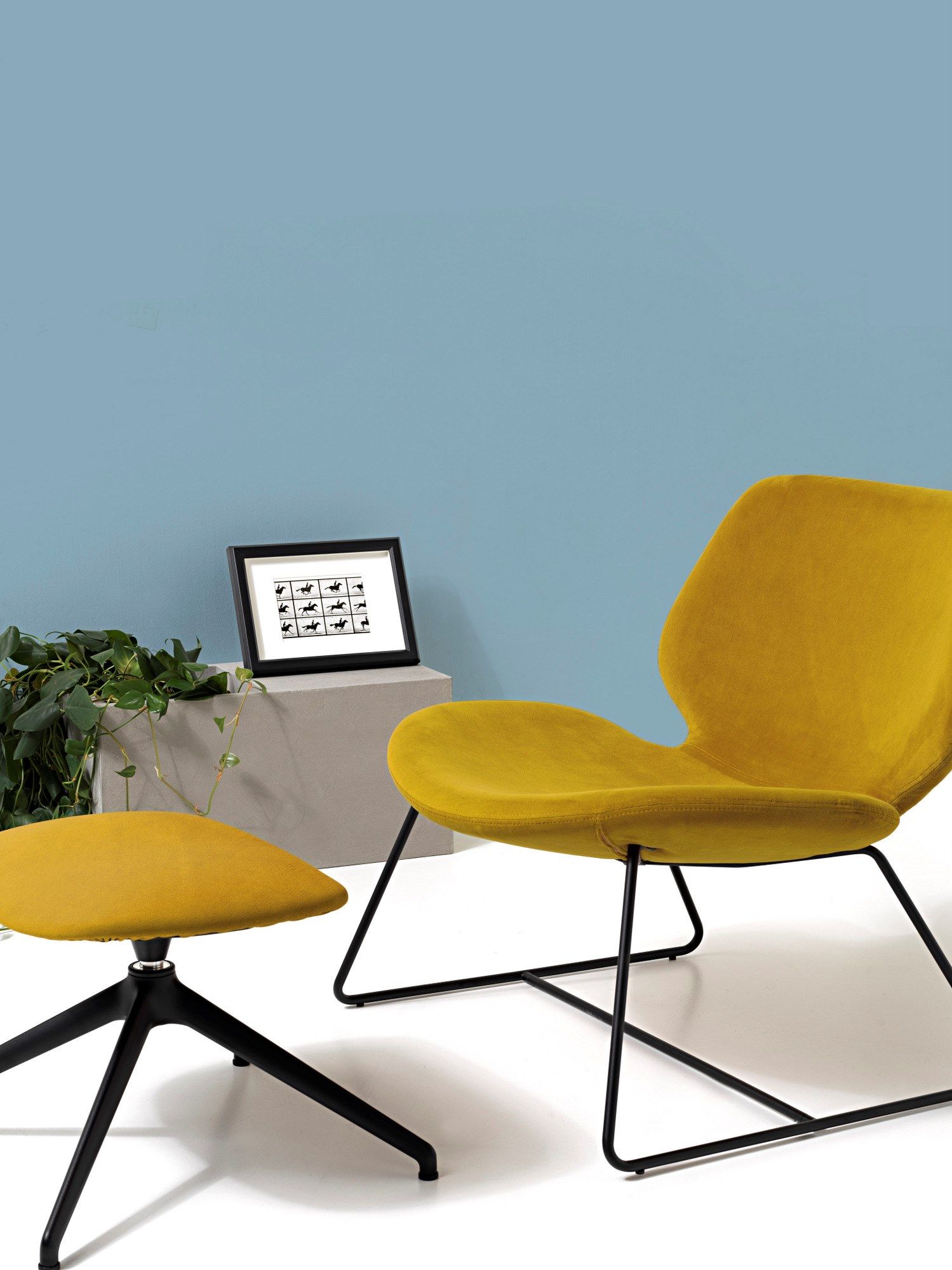 Ткань сани стул Diemme Eon Lounge ARCH-00118869 - Вид №4