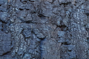 906 070 614 Рельефное пробковое настенное покрытие Bark Bluemoon GRANORTE RustiCork