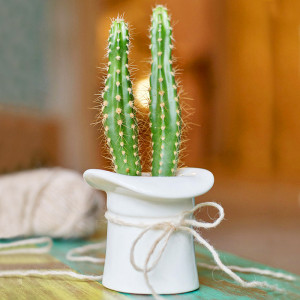 3002 Набор для выращивания eco шляпа Экочеловеки