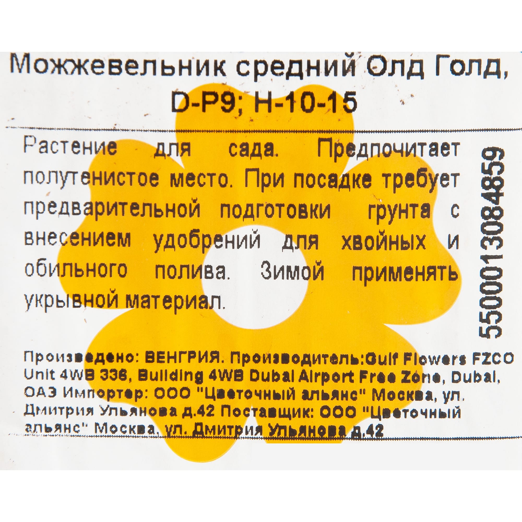 82601671 Можжевельник средний «Олд Голд» 9x12.5 см Santreyd  - Вид №1