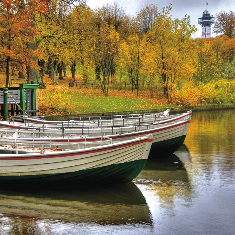 0684/CX38 Картина 0684 Adriani e Rossi  - Вид №1