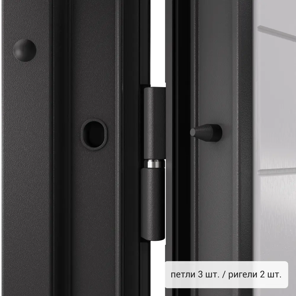 Дверь входная металлическая Фолд райс 950 мм правая TOREX STLM-2029318 - Вид №5