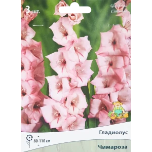 Гладиолус крупноцветковый Чимароза, 3 шт 86410019 STLM-2041079