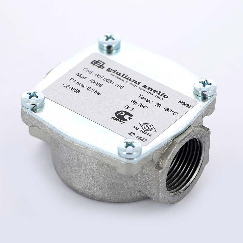 Фильтр газовый для серий FGB20 WATTS Ind 3/4" 0,5бар 10021071 - Вид №1