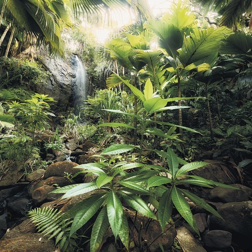 SH087-VD2-Spirit Фотообои Komar Stefan Hefele 2.5х2 м SH087VD2SPIRIT