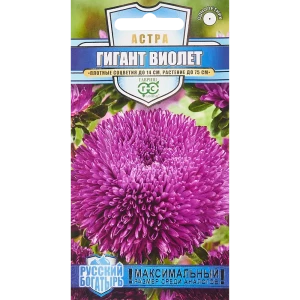 ГАВРИШ Астра Гигант Виолет - фиолетовые махровые соцветия для сада 86395721