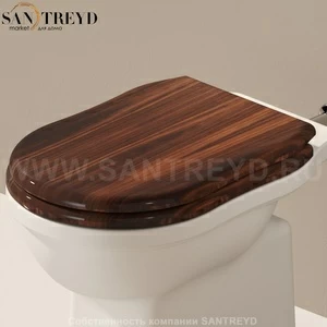 23NORWOOD Крышка сиденье для унитаза Ceramica Flaminia Efi