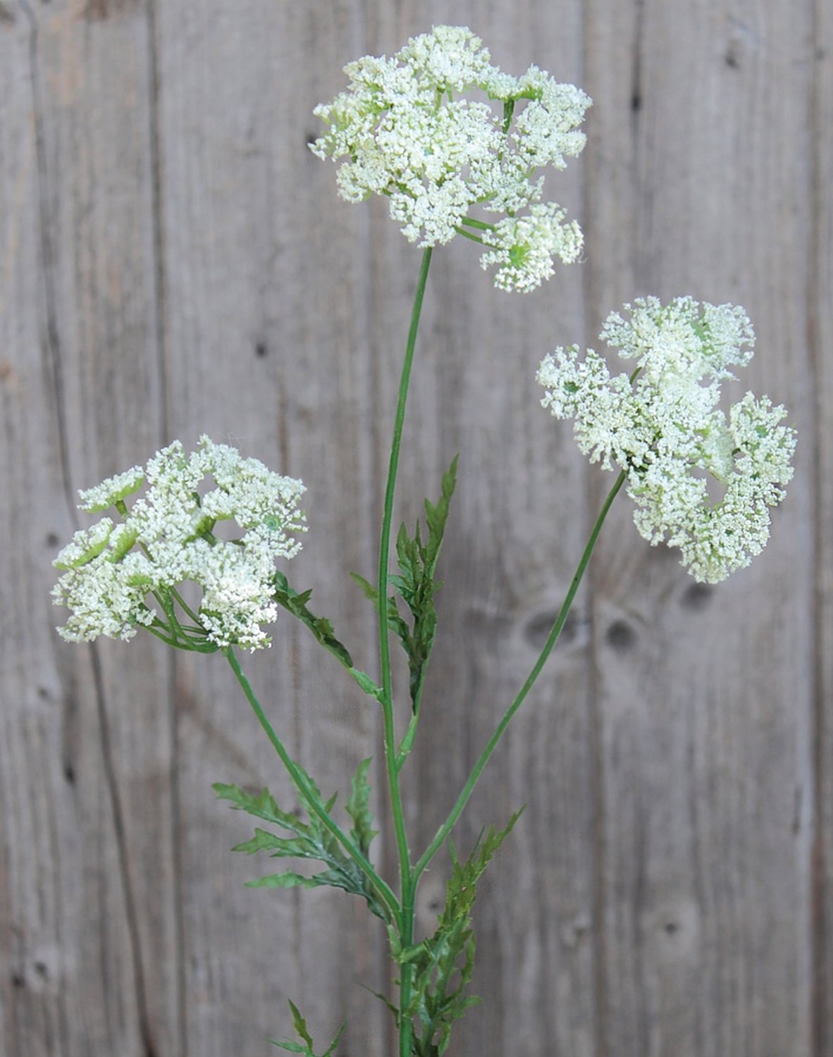 3535 777 a2 Шелковый тысячелистник, 3 цветка, 65 см, белый H-andreas  - Вид №6