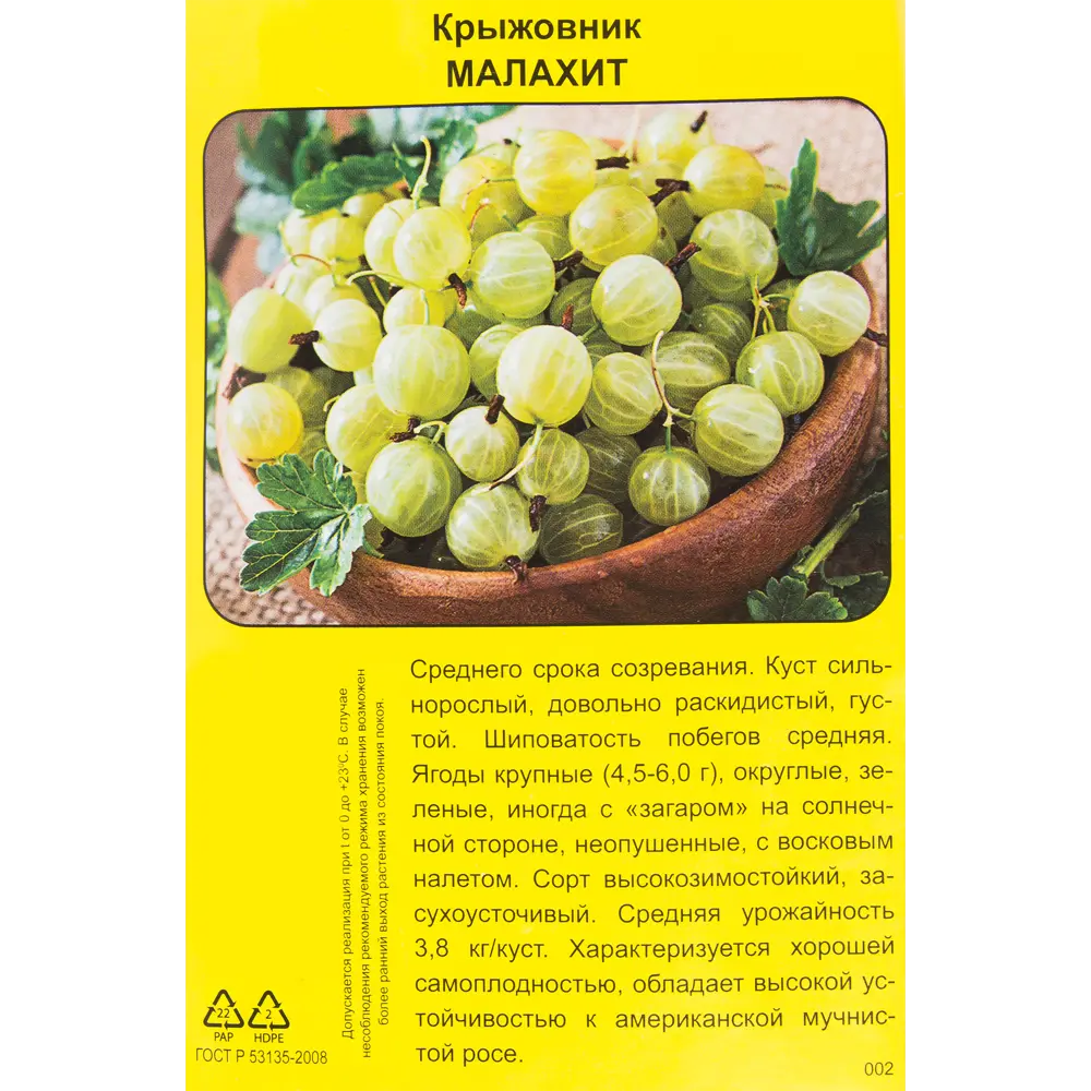 Крыжовник Малахит h40 см 83791435 STLM-2198004 Santreyd  - Вид №1