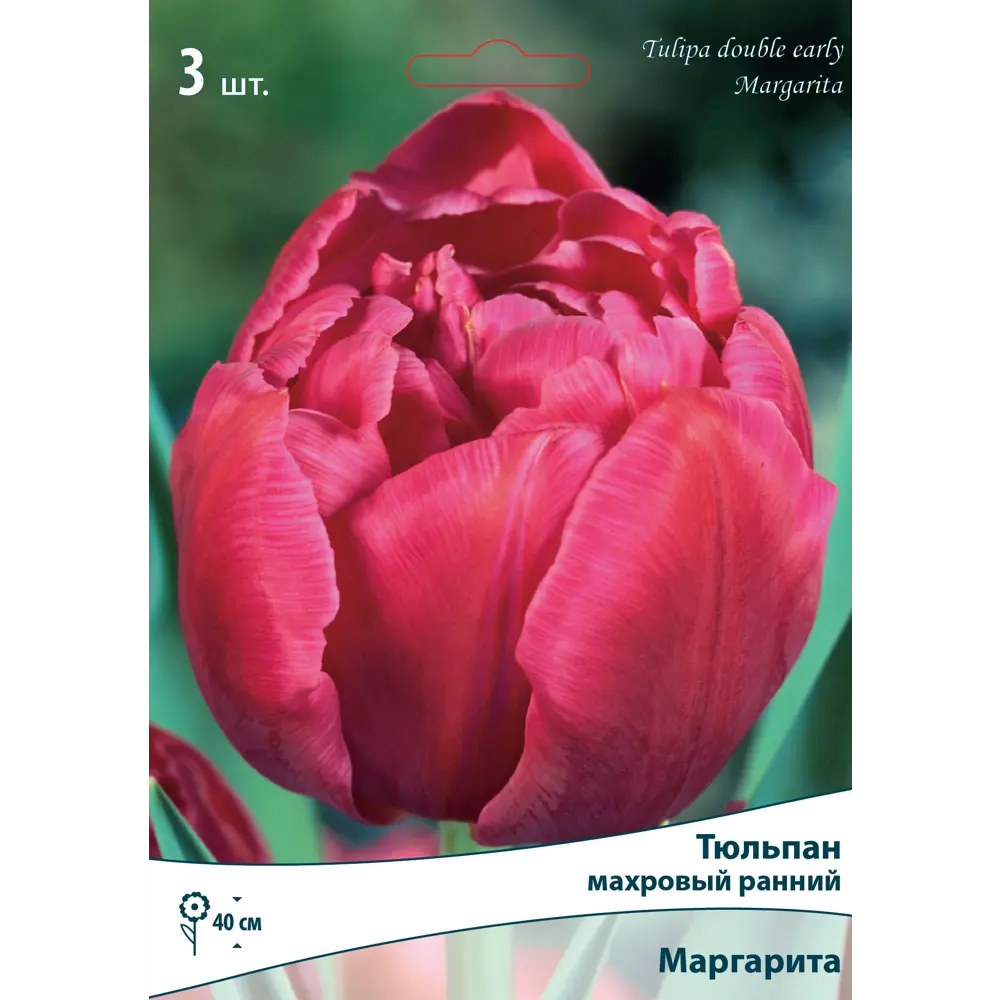 Тюльпан махровый поздний «Маргарита», высота 40 см, 3 шт. 82000225 STLM-2025216 Santreyd  - Вид №1