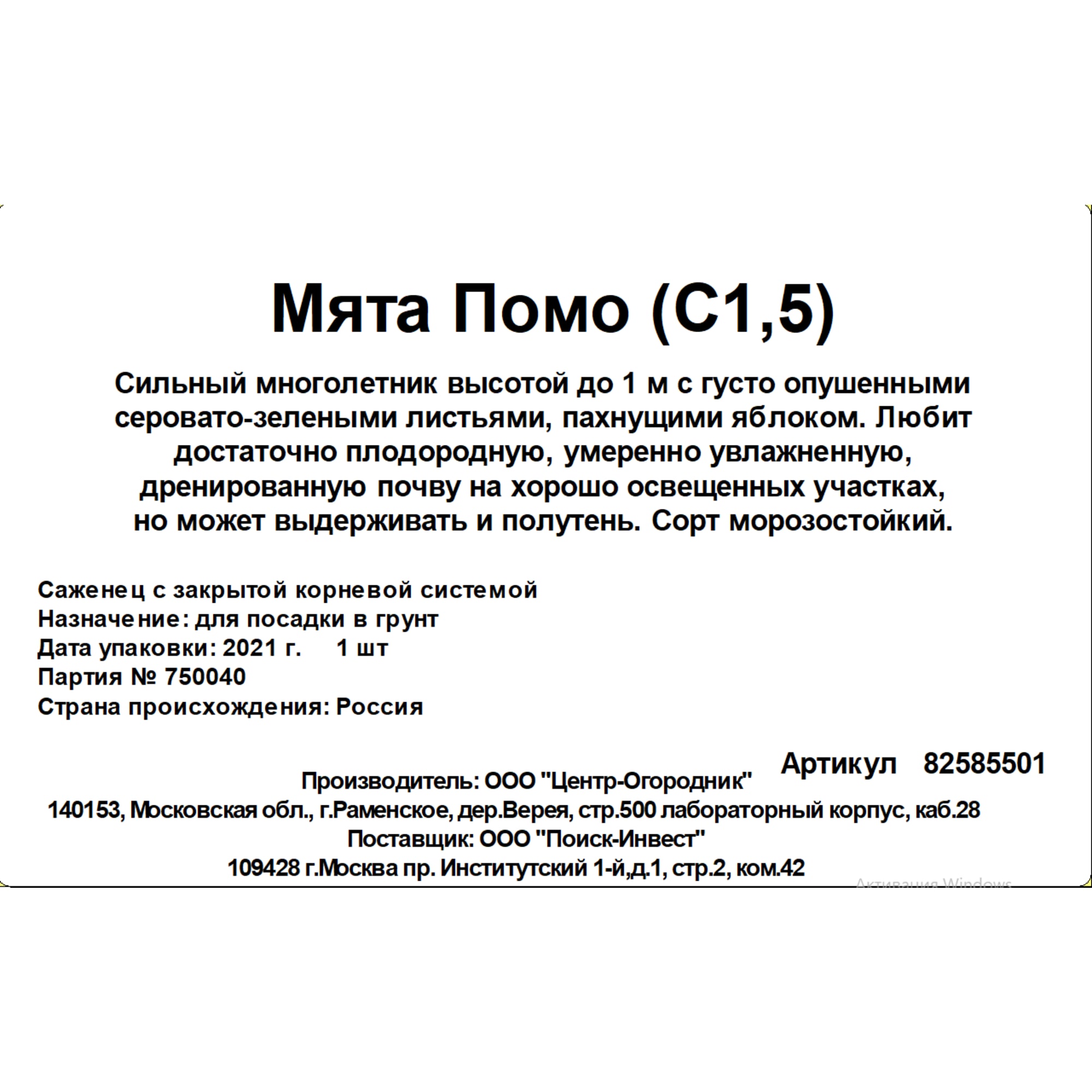 82585501 Мята «Помо» 15x20 см Santreyd  - Вид №2