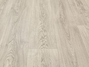 Линолеум бытовой SMART BINGO - (Смарт Бинго) i506320