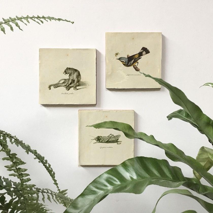 Groovy Magnets Настенный декоративный предмет из керамики Tiles M-tile-po - Вид №4