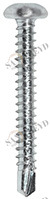 Винт RK 01 48 045 RK01 Tecfi 4,8 х 45 