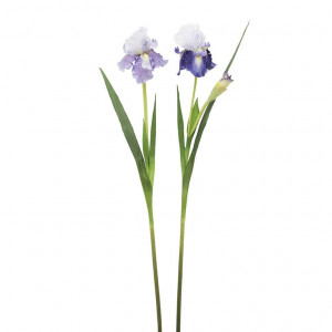 210316-60 ABHIKA ИРИС СПРЕЙ ST2PCS ASS PURPLE