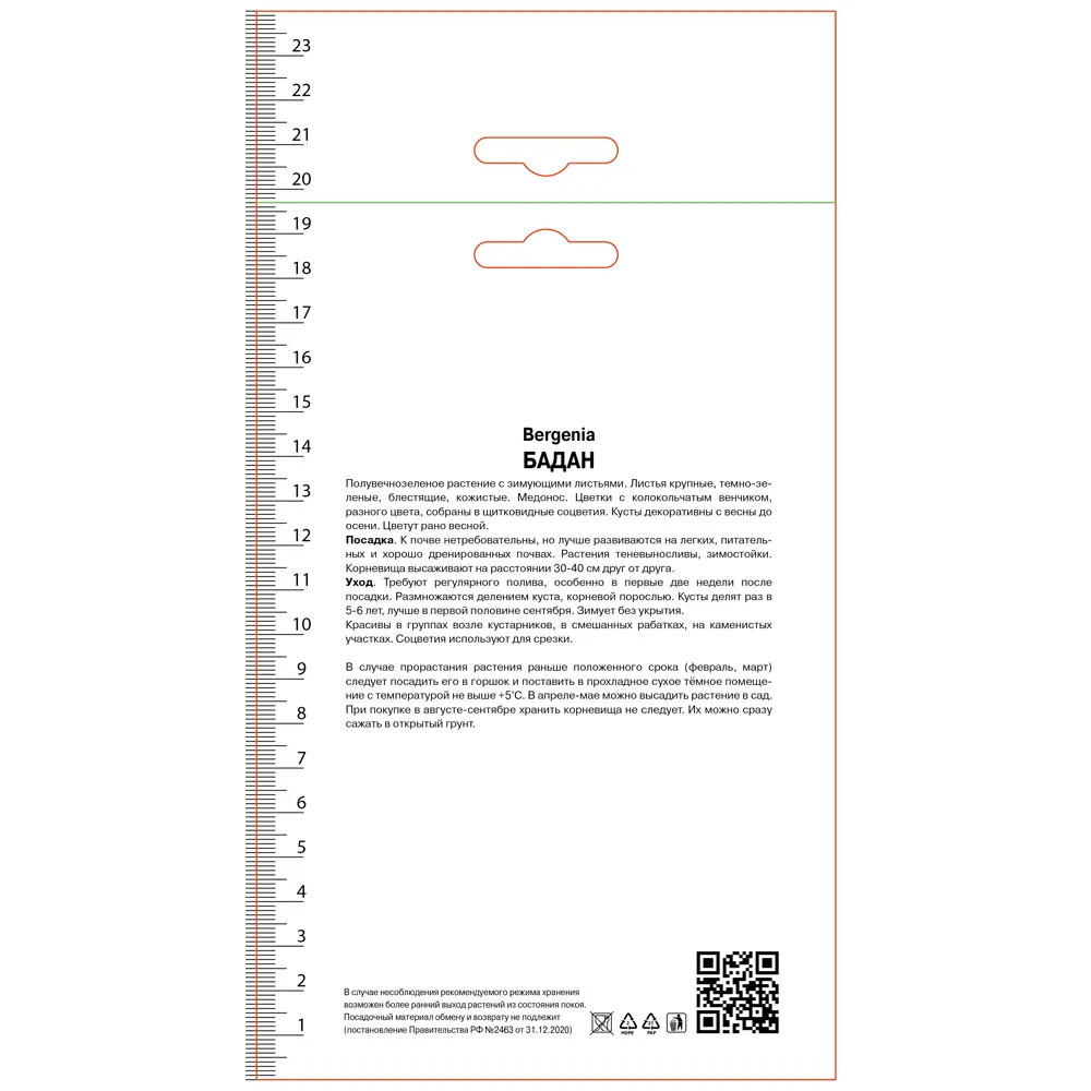 Бадан сердцелистный Эроика ПОИСК STLM-2024638
