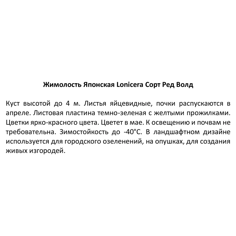 Жимолость японская Ред Волд ø15 h30 см 85606568 STLM-2168337 Santreyd  - Вид №3