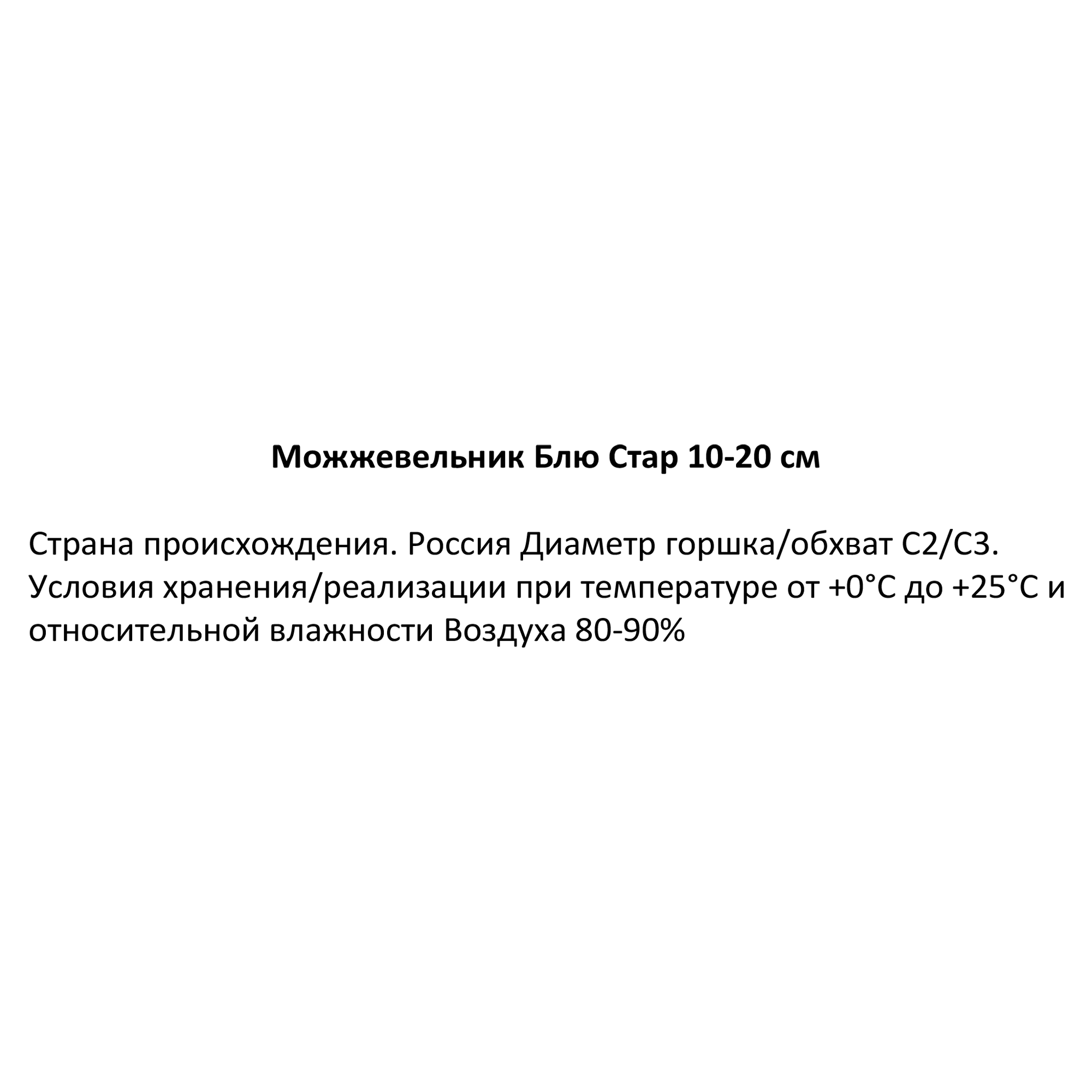 Можжевельник Блю Стар Santreyd — голубая звезда вашего сада 85320173 STLM-0061338 - Вид №2