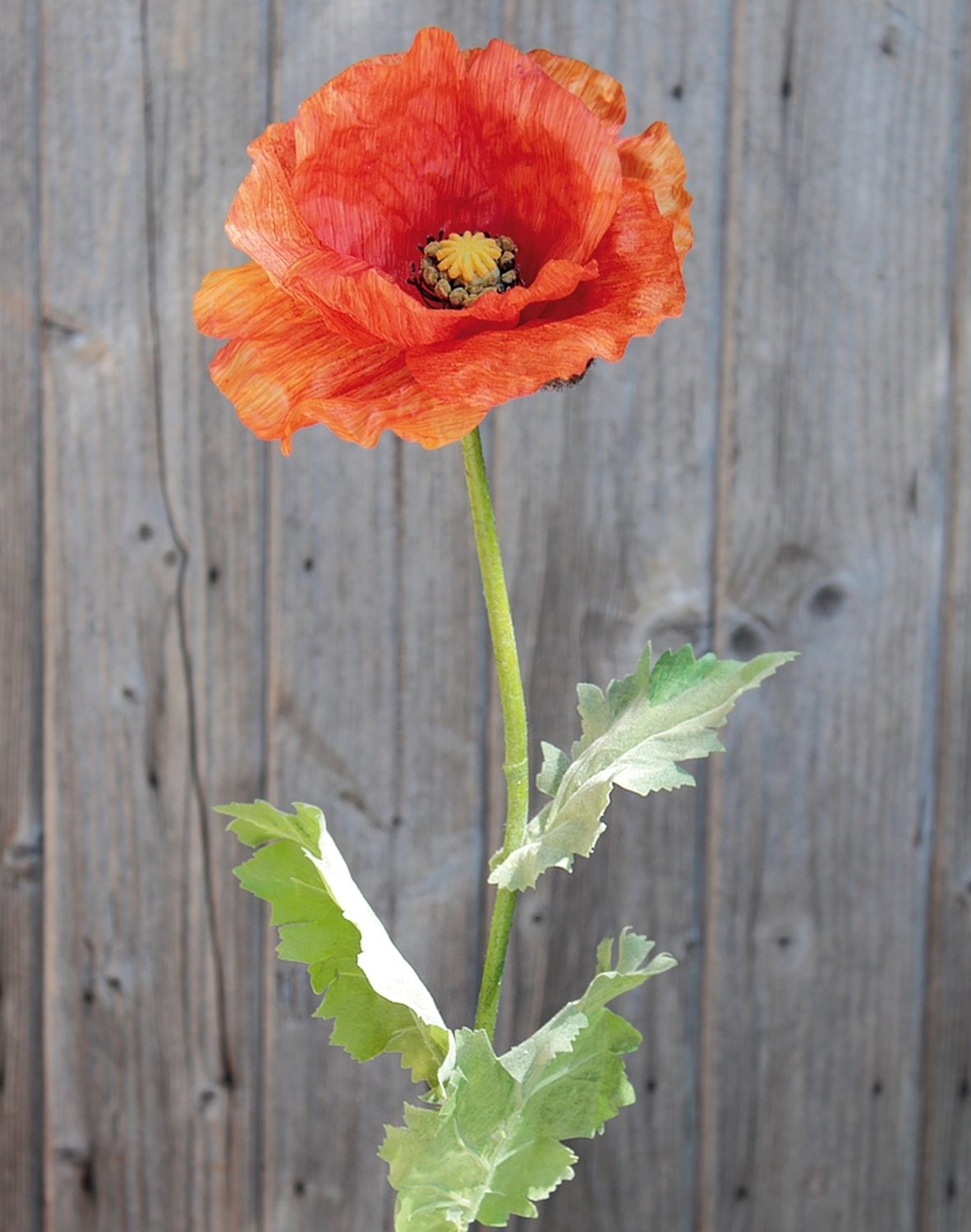 4557 334 a3 Шелковый мак, 80 см, оранжевый H-andreas 