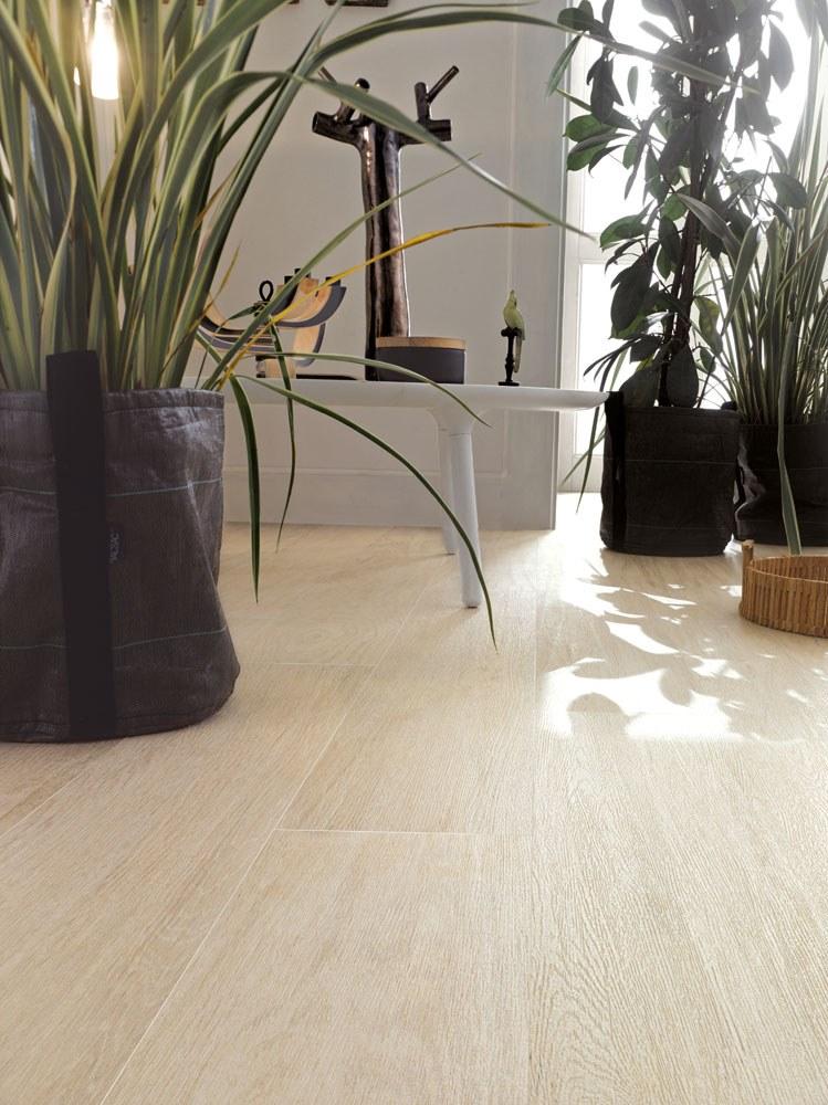 COTTO D'ESTE Настенная / напольная плитка из керамогранита под дерево Forest sun-id-1407034 - Вид №5