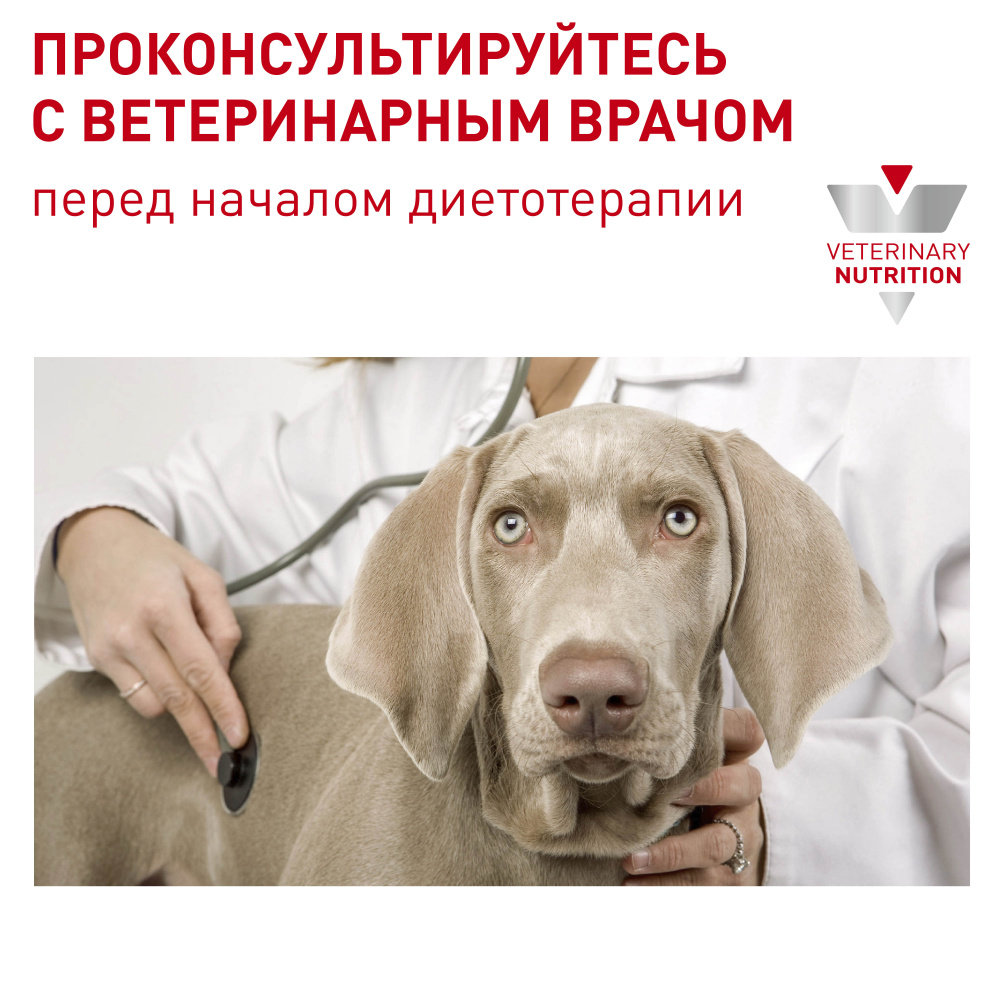 Т0045552 Корм для собак Neutered Adult Small Dog для кастрир. и стерил.собак мелких пород сух. 3,5кг ROYAL CANIN  - Вид №6