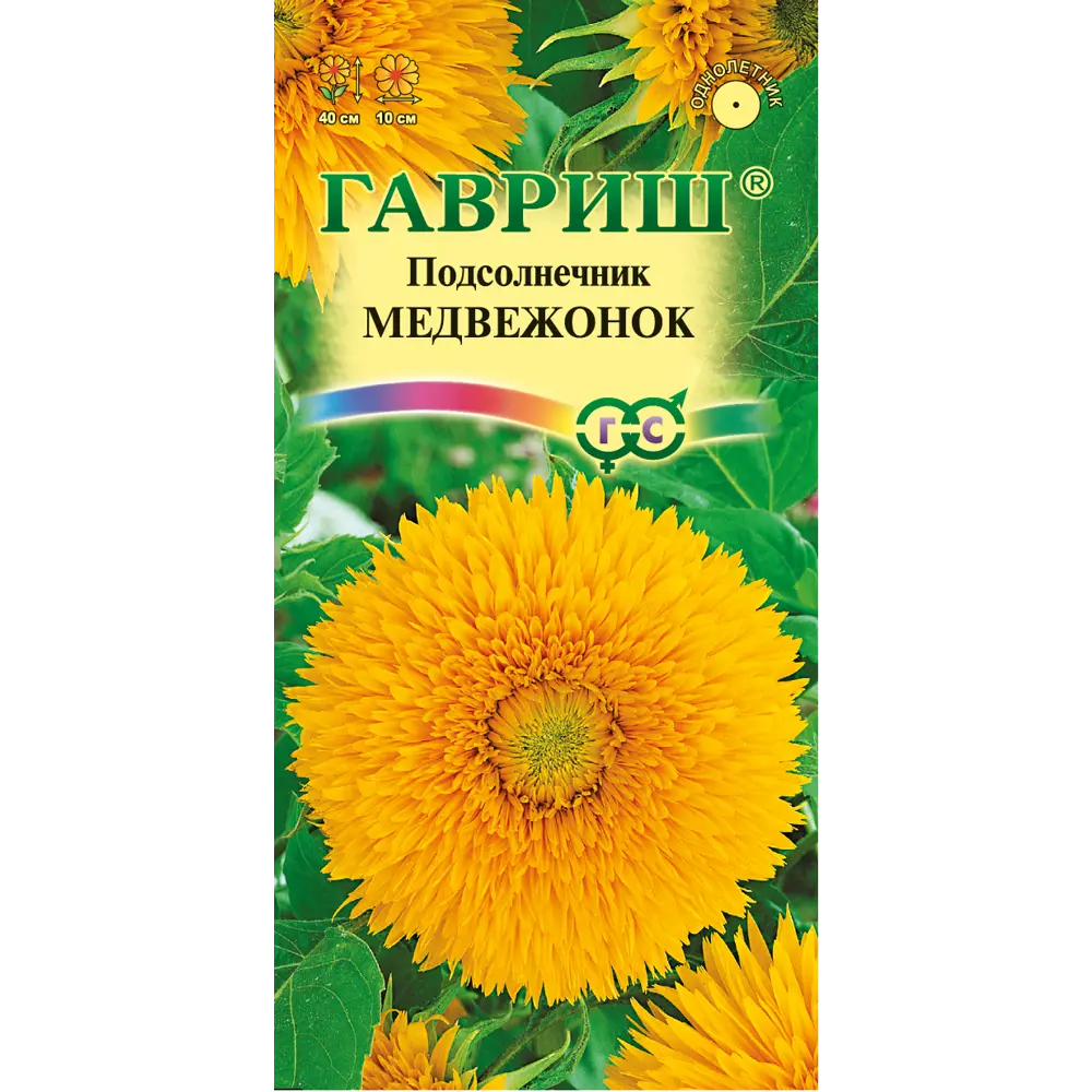 ГАВРИШ Подсолнечник Медвежонок — декоративный сорт с махровыми соцветиями 83606946 STLM-1580964