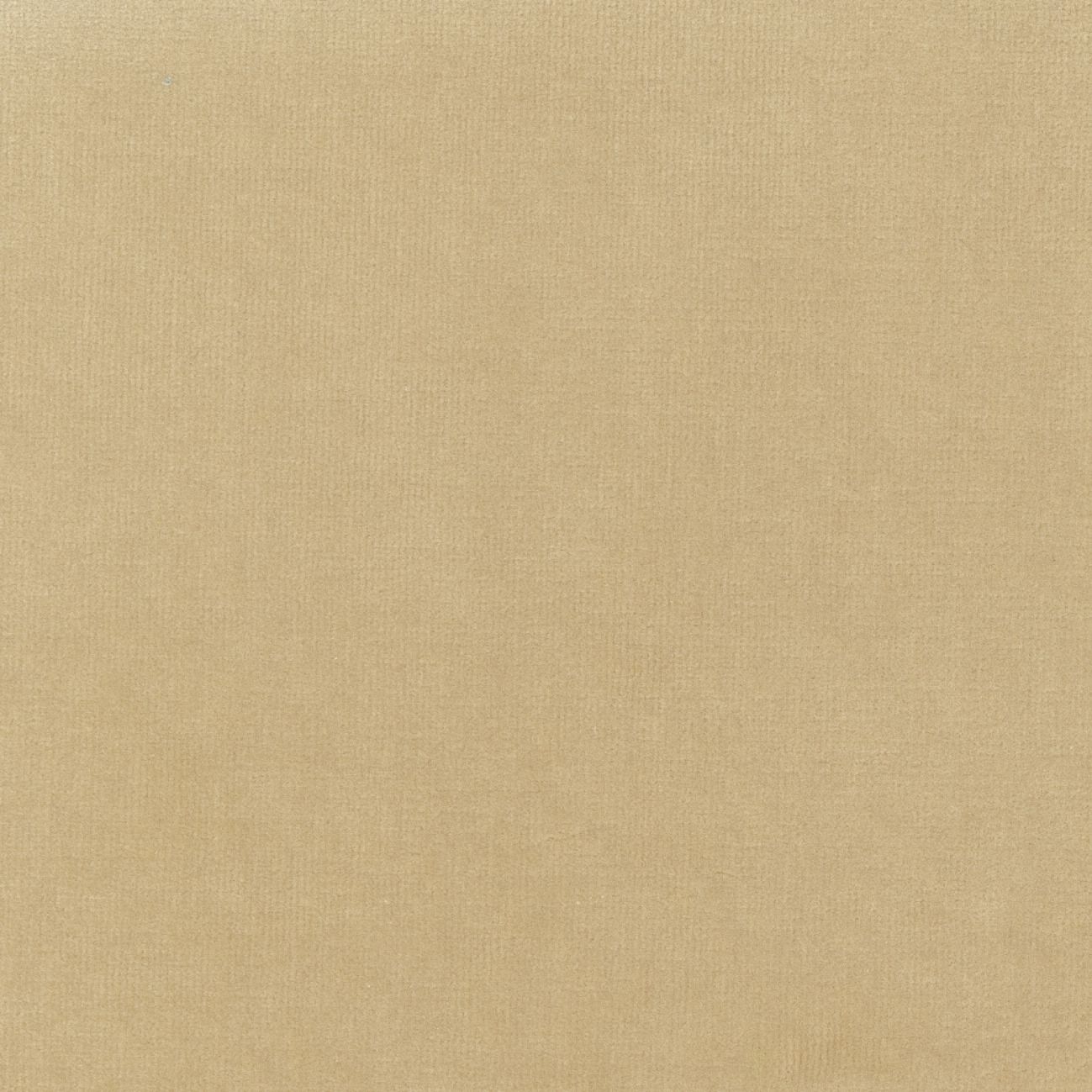 Бархатная однотонная ткань Élitis Palatine ARCH-00143253 - Вид №66